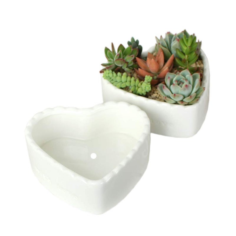 JHNIF 2pcs Heart-Shaped Pure White Ceramic Cactus Succulent Plant Pots. - Image 1